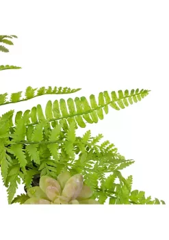 Flash Sale ⌛ Northlight Succulents and Foliage Artificial Spring Twig Wreath Green - 22-Inch ⌛ -Outlet Northlight Store Belk 1002