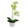 Budget 🛒 Northlight 14" Ivory Green and White Artificial Orchid Potted Plant Tabletop Decor 🛒
