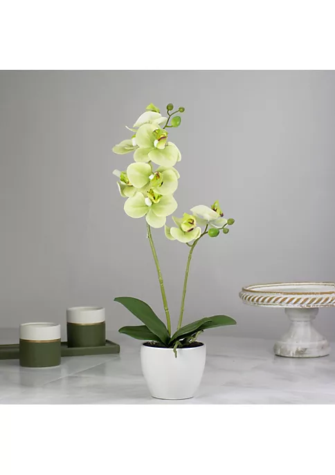 Budget 🛒 Northlight 14" Ivory Green and White Artificial Orchid Potted Plant Tabletop Decor 🛒 4 Budget 🛒 Northlight 14" Ivory Green and White Artificial Orchid Potted Plant Tabletop Decor 🛒 - Image 2