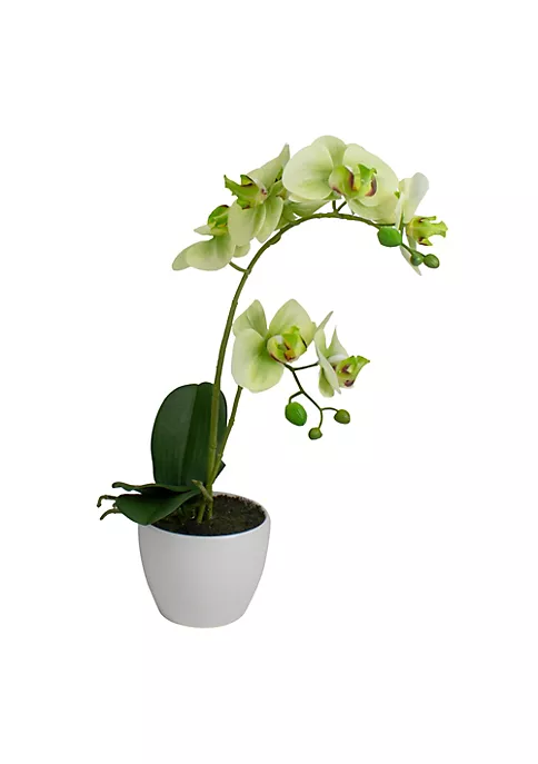Budget 🛒 Northlight 14" Ivory Green and White Artificial Orchid Potted Plant Tabletop Decor 🛒 5 Budget 🛒 Northlight 14" Ivory Green and White Artificial Orchid Potted Plant Tabletop Decor 🛒 - Image 3