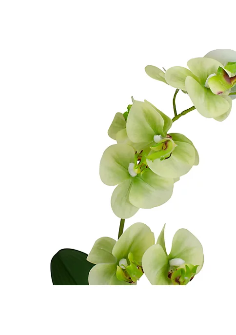Budget 🛒 Northlight 14" Ivory Green and White Artificial Orchid Potted Plant Tabletop Decor 🛒 6 Budget 🛒 Northlight 14" Ivory Green and White Artificial Orchid Potted Plant Tabletop Decor 🛒 - Image 4