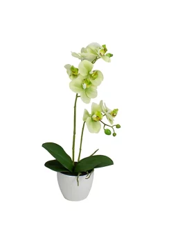 Budget 🛒 Northlight 14" Ivory Green and White Artificial Orchid Potted Plant Tabletop Decor 🛒 11 Budget 🛒 Northlight 14" Ivory Green and White Artificial Orchid Potted Plant Tabletop Decor 🛒 -Outlet Northlight Store Belk 1039