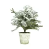Coupon ⌛ Northlight 20" Flocked White and Green Artificial Pine Tree with a Pot 💯 -Outlet Northlight Store Belk 1051