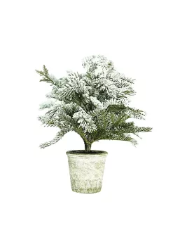 Coupon ⌛ Northlight 20" Flocked White and Green Artificial Pine Tree with a Pot 💯