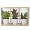 Budget 🥰 Northlight 10.75" Artificial Mixed Potted Succulents in Wooden Box 🛒