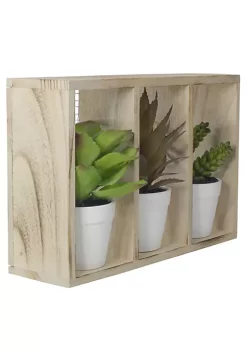 Budget 🥰 Northlight 10.75" Artificial Mixed Potted Succulents in Wooden Box 🛒 -Outlet Northlight Store Belk 1064