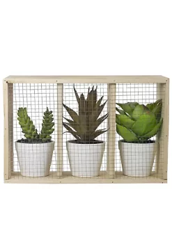 Budget 🥰 Northlight 10.75" Artificial Mixed Potted Succulents in Wooden Box 🛒 -Outlet Northlight Store Belk 1065