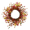 Best reviews of 😉 Northlight Berries and Apples Foliage Twig Artificial 👪 Thanksgiving Wreath - 18-Inch Unlit 🥰