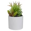 Cheapest 👍 Northlight 9" Artificial Succulent Arrangement in White Ceramic Pot 🤩 -Outlet Northlight Store Belk 1102