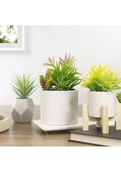 Cheapest 👍 Northlight 9" Artificial Succulent Arrangement in White Ceramic Pot 🤩 -Outlet Northlight Store Belk 1103