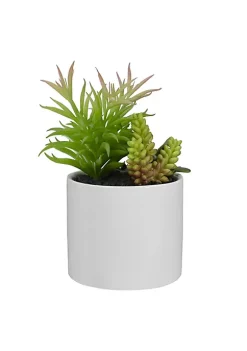 Cheapest 👍 Northlight 9" Artificial Succulent Arrangement in White Ceramic Pot 🤩 -Outlet Northlight Store Belk 1104