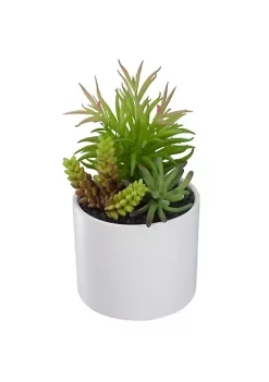 Cheapest 👍 Northlight 9" Artificial Succulent Arrangement in White Ceramic Pot 🤩 -Outlet Northlight Store Belk 1105