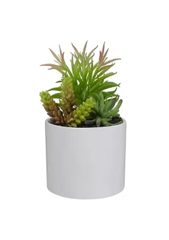 Cheapest 👍 Northlight 9" Artificial Succulent Arrangement in White Ceramic Pot 🤩 -Outlet Northlight Store Belk 1106