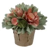 Cheapest 👏 Northlight 7.75" Pink and Green Wooden Floral Artificial Potted Centerpiece 🌟