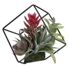 New ⭐ Northlight 7" Artificial Succulent Arrangement in Offset Metal Wire Frame 👍
