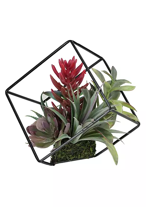 New โญ Northlight 7" Artificial Succulent Arrangement in Offset Metal Wire Frame ๐ 3 New โญ Northlight 7" Artificial Succulent Arrangement in Offset Metal Wire Frame ๐