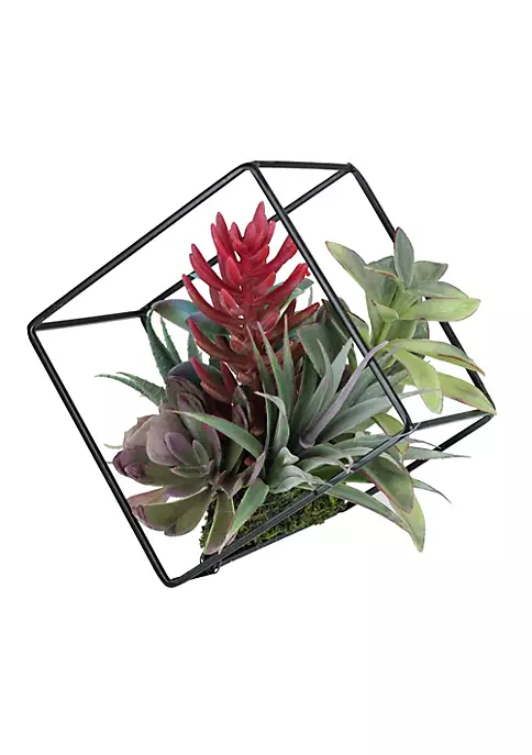 New โญ Northlight 7" Artificial Succulent Arrangement in Offset Metal Wire Frame ๐ 4 New โญ Northlight 7" Artificial Succulent Arrangement in Offset Metal Wire Frame ๐ - Image 2