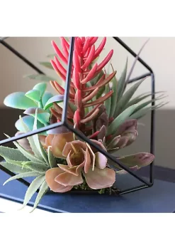 New โญ Northlight 7" Artificial Succulent Arrangement in Offset Metal Wire Frame ๐ 9 New โญ Northlight 7" Artificial Succulent Arrangement in Offset Metal Wire Frame ๐ -Outlet Northlight Store Belk 1137