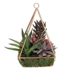 Discount 💯 Northlight 9" Artificial Succulents Arrangement in 4-Sided Copper Metal Wire Frame 👏 -Outlet Northlight Store Belk 1140