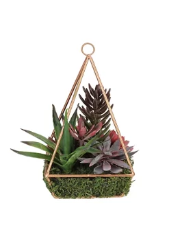 Discount 💯 Northlight 9" Artificial Succulents Arrangement in 4-Sided Copper Metal Wire Frame 👏