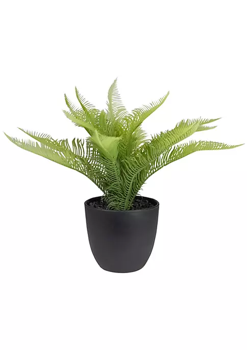 Hot Sale ๐ Northlight 12" Potted Green Artificial Pinus Plant โจ 3 Hot Sale ๐ Northlight 12" Potted Green Artificial Pinus Plant โจ