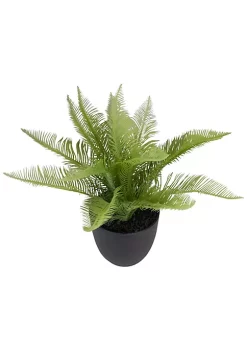 Hot Sale ๐ Northlight 12" Potted Green Artificial Pinus Plant โจ 9 Hot Sale ๐ Northlight 12" Potted Green Artificial Pinus Plant โจ -Outlet Northlight Store Belk 1161