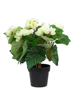 Coupon 🎁 Northlight 11" Cream Potted Silk Begonia Spring Artificial Floral Arrangement ⌛