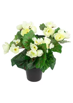 Coupon 🎁 Northlight 11" Cream Potted Silk Begonia Spring Artificial Floral Arrangement ⌛ -Outlet Northlight Store Belk 1173