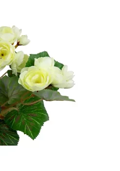 Coupon 🎁 Northlight 11" Cream Potted Silk Begonia Spring Artificial Floral Arrangement ⌛ -Outlet Northlight Store Belk 1174