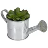 Budget 🌟 Northlight 6" Potted Artificial Mini Echeveria Succulent with Watering Can ⭐