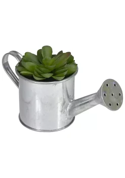 Budget 🌟 Northlight 6" Potted Artificial Mini Echeveria Succulent with Watering Can ⭐ -Outlet Northlight Store Belk 1207