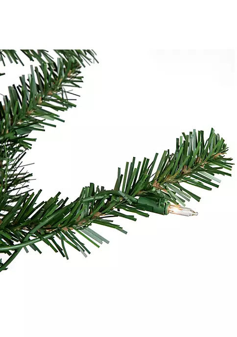 Brand new 🌟 Northlight 15' Pre-Lit Genoa Fraser Fir Slim Artificial 🎄 Christmas Tree Clear Lights 🌟 3 Brand new 🌟 Northlight 15' Pre-Lit Genoa Fraser Fir Slim Artificial 🎄 Christmas Tree Clear Lights 🌟 - Image 2