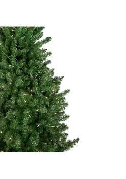 Brand new 🌟 Northlight 15' Pre-Lit Genoa Fraser Fir Slim Artificial 🎄 Christmas Tree Clear Lights 🌟 8 Brand new 🌟 Northlight 15' Pre-Lit Genoa Fraser Fir Slim Artificial 🎄 Christmas Tree Clear Lights 🌟 -Outlet Northlight Store Belk 1224