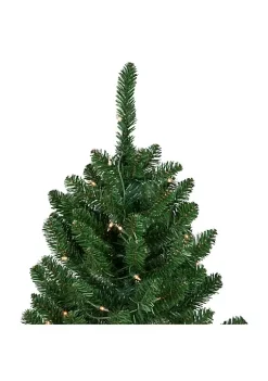 Brand new 🌟 Northlight 15' Pre-Lit Genoa Fraser Fir Slim Artificial 🎄 Christmas Tree Clear Lights 🌟 9 Brand new 🌟 Northlight 15' Pre-Lit Genoa Fraser Fir Slim Artificial 🎄 Christmas Tree Clear Lights 🌟 -Outlet Northlight Store Belk 1225