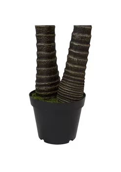 Promo ๐ Northlight 5' Potted Two Tone Green Cycas Artificial Floor Plant ๐ 10 Promo ๐ Northlight 5' Potted Two Tone Green Cycas Artificial Floor Plant ๐ -Outlet Northlight Store Belk 1253