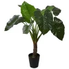 Outlet ⌛ Northlight 51" Potted Green Wide Leaf Taro Artificial Floor Plant ⭐ -Outlet Northlight Store Belk 1264