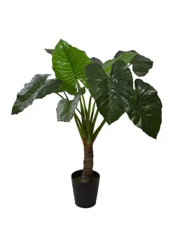 Outlet ⌛ Northlight 51" Potted Green Wide Leaf Taro Artificial Floor Plant ⭐ -Outlet Northlight Store Belk 1267