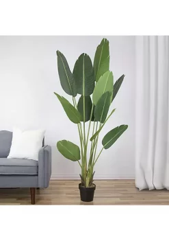 Cheap 🥰 Northlight 70" Artificial Green Travellers Palm Tree ❤️ -Outlet Northlight Store Belk 1272