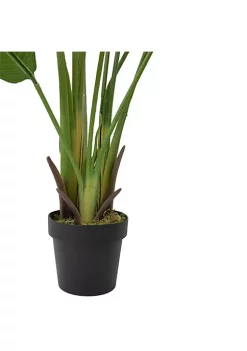 Cheap 🥰 Northlight 70" Artificial Green Travellers Palm Tree ❤️ -Outlet Northlight Store Belk 1274