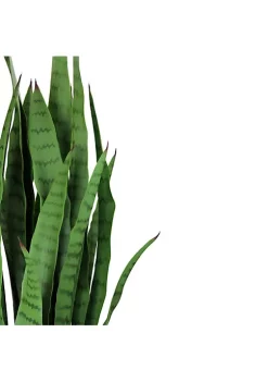 Promo 💯 Northlight 3' Green Two Tone Potted Artificial Snake Plant 👍 -Outlet Northlight Store Belk 1277