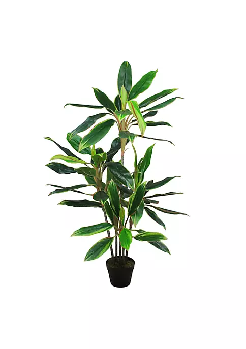 Budget ❤️ Northlight 55" Green and Red Potted Two Tone Dracaena Artificial Plant 🎉 3 Budget ❤️ Northlight 55" Green and Red Potted Two Tone Dracaena Artificial Plant 🎉