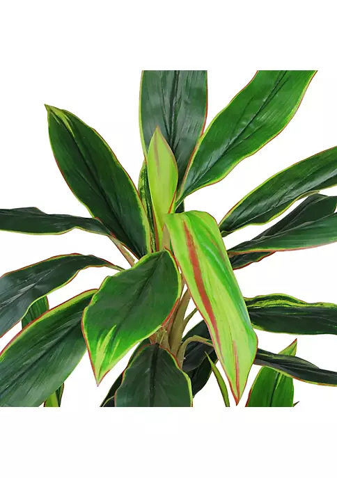 Budget ❤️ Northlight 55" Green and Red Potted Two Tone Dracaena Artificial Plant 🎉 4 Budget ❤️ Northlight 55" Green and Red Potted Two Tone Dracaena Artificial Plant 🎉 - Image 2