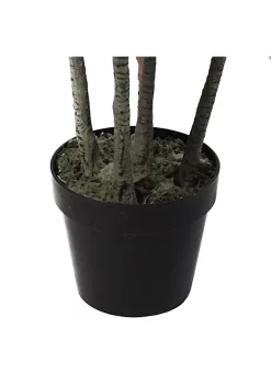 Budget ❤️ Northlight 55" Green and Red Potted Two Tone Dracaena Artificial Plant 🎉 9 Budget ❤️ Northlight 55" Green and Red Potted Two Tone Dracaena Artificial Plant 🎉 -Outlet Northlight Store Belk 1340