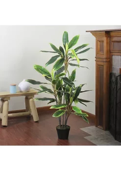 Budget ❤️ Northlight 55" Green and Red Potted Two Tone Dracaena Artificial Plant 🎉 10 Budget ❤️ Northlight 55" Green and Red Potted Two Tone Dracaena Artificial Plant 🎉 -Outlet Northlight Store Belk 1341