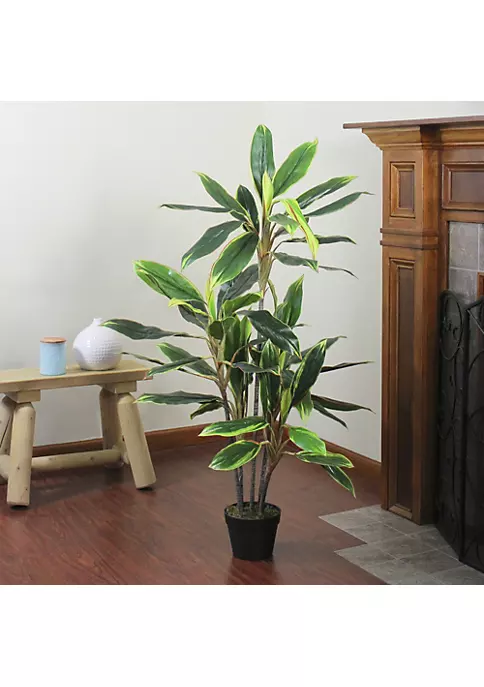 Budget ❤️ Northlight 55" Green and Red Potted Two Tone Dracaena Artificial Plant 🎉 6 Budget ❤️ Northlight 55" Green and Red Potted Two Tone Dracaena Artificial Plant 🎉 - Image 4