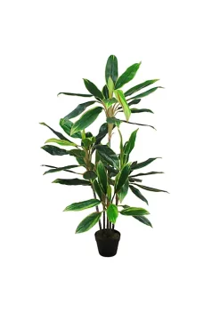 Budget ❤️ Northlight 55" Green and Red Potted Two Tone Dracaena Artificial Plant 🎉 11 Budget ❤️ Northlight 55" Green and Red Potted Two Tone Dracaena Artificial Plant 🎉 -Outlet Northlight Store Belk 1342