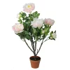 Best deal 😀 Northlight 36" Green and Brown Potted Artificial Blooming Peony Flower Plant 🔔 1 Best deal 😀 Northlight 36" Green and Brown Potted Artificial Blooming Peony Flower Plant 🔔 -Outlet Northlight Store Belk 1412