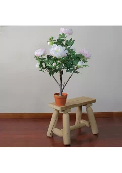 Best deal 😀 Northlight 36" Green and Brown Potted Artificial Blooming Peony Flower Plant 🔔 -Outlet Northlight Store Belk 1415