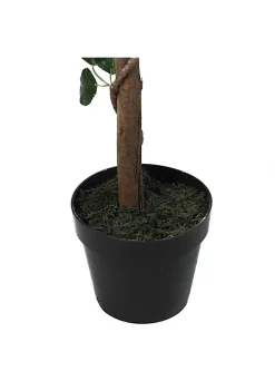 New ⌛ Northlight 47" Potted Green and Pink Artificial Rose Tree 🤩 -Outlet Northlight Store Belk 1433