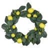 Deals 🛒 Northlight Lemon and Foliage Artificial Wreath Yellow 22-Inch 🎁